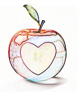 School Nutrition HEART CONNECTIONS in TEXAS